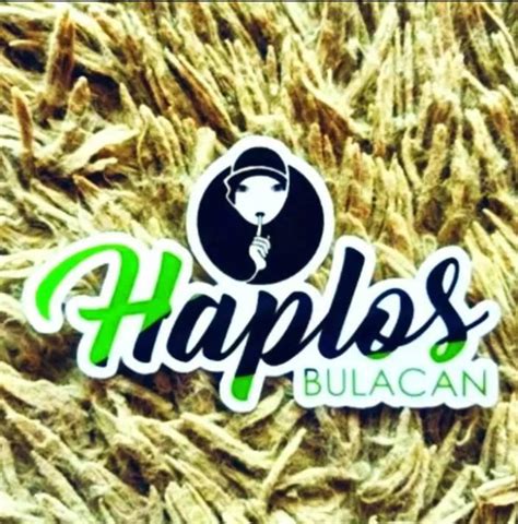 HAPLOS SJDM .